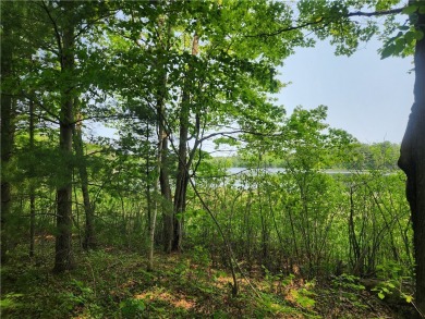 Lake Lot Sale Pending in Cumberland, Wisconsin