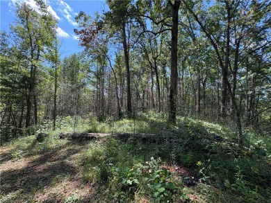 Fiddlers Cove Lake Acreage For Sale in Tamassee South Carolina