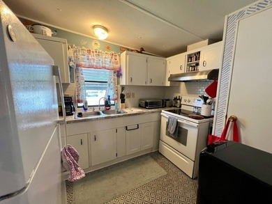 2 Bed | 2 Bath | 950 square foot | $56,900 (Swiss Golf and - photo 10