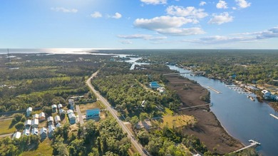 If you've been looking for a good piece on the Steinhatchee - photo 11