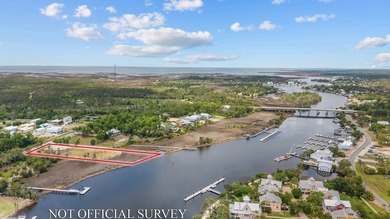 If you've been looking for a good piece on the Steinhatchee - photo 18