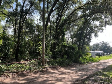 Lake Lot For Sale in Summerfield, Florida