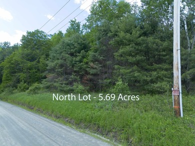 This sale includes two lots on a quiet town-maintained road - photo 7