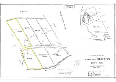 This sale includes two lots on a quiet town-maintained road - photo 10