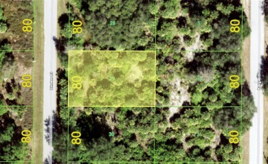Port Charlotte Waterway Lakes Area Lot For Sale in Port Charlotte Florida