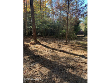 Yeopim River / Bethel Creek  Lot For Sale in Edenton North Carolina