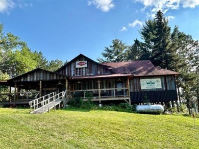 Lake Home For Sale in Greenwood Twp, Minnesota