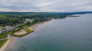 ONE OF A KIND OPPORTUNITY TO OWN YOUR OWN BEACH. This Waterfront - photo 11