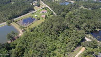 12+/- acres located in the Orange Grove area of Gulfport - photo 13