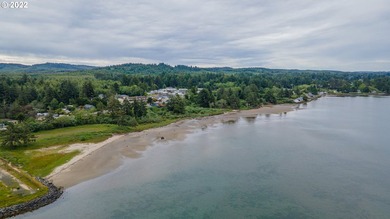 ONE OF A KIND OPPORTUNITY TO OWN YOUR OWN BEACH. This Waterfront - photo 13