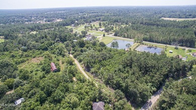 12+/- acres located in the Orange Grove area of Gulfport - photo 14