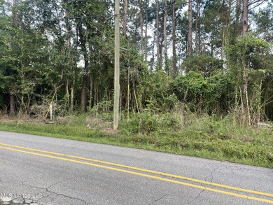 12+/- acres located in the Orange Grove area of Gulfport - photo 17
