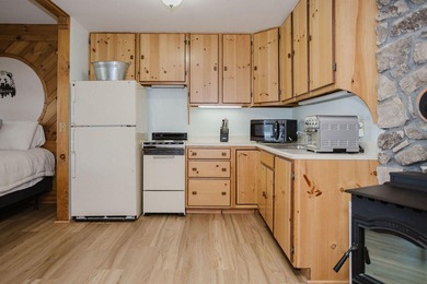 Charming Year-Round Waterfront Retreat on Brettuns Pond! - photo 31