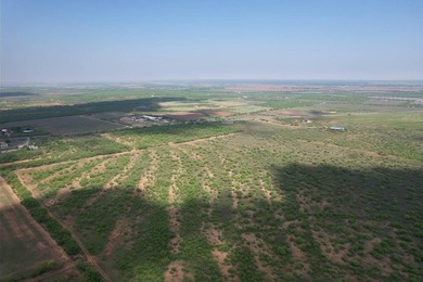 Rare opportunity to own 176+ acres located within the city - photo 4