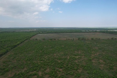 Rare opportunity to own 176+ acres located within the city - photo 6