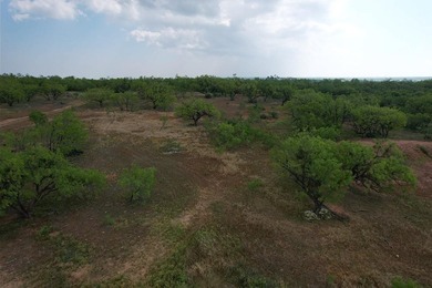 Rare opportunity to own 176+ acres located within the city - photo 7