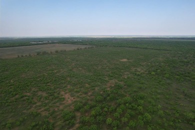 Rare opportunity to own 176+ acres located within the city - photo 10