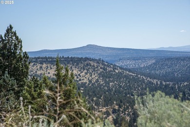Discover the perfect getaway or build site in the highly - photo 14