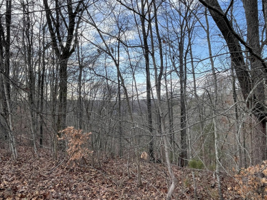 Adorable Cabin Lot Overlooking the Lake Cumberland Hills - Lake Lot For Sale in Nancy, Kentucky