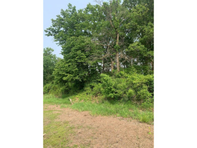 (private lake, pond, creek) Lot For Sale in Spring Green Wisconsin