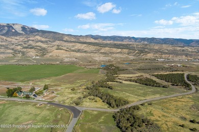 Painted Pitchfork Ranch | 7781 County Road 320, Rifle, Colorado - photo 11
