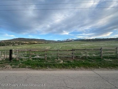 Painted Pitchfork Ranch | 7781 County Road 320, Rifle, Colorado - photo 15