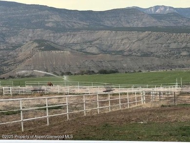 Painted Pitchfork Ranch | 7781 County Road 320, Rifle, Colorado - photo 16