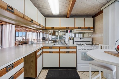 One-of-a-kind house boat/barge, wonderfully situated on Narrow - photo 16