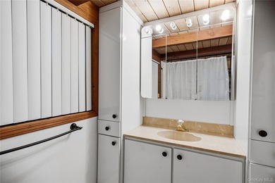One-of-a-kind house boat/barge, wonderfully situated on Narrow - photo 21
