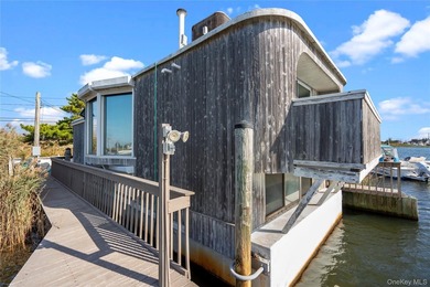 One-of-a-kind house boat/barge, wonderfully situated on Narrow - photo 25
