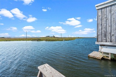 One-of-a-kind house boat/barge, wonderfully situated on Narrow - photo 47