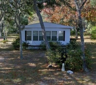 Lake Home For Sale in Silver Springs, Florida