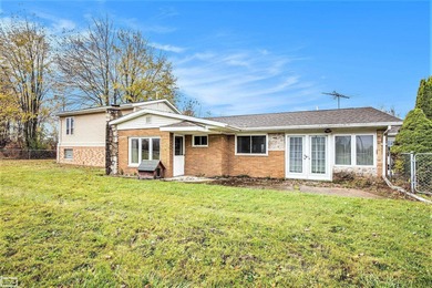 Lake Home For Sale in Riley, Michigan