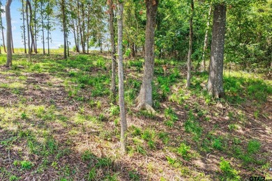 Discover the perfect waterfront retreat with this 1.03-acre lot - photo 11