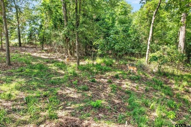 Discover the perfect waterfront retreat with this 1.03-acre lot - photo 12