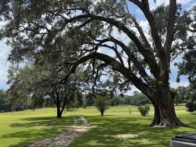 Lake Home For Sale in Tallahassee, Florida