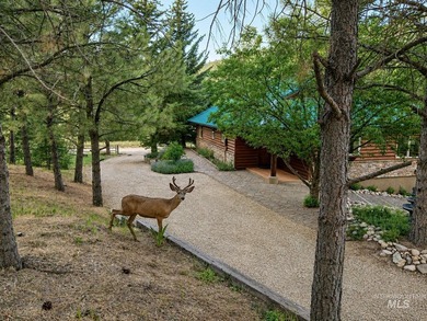 Nestled on 3.45 private acres in Wilderness Ranch on Daggett - photo 5
