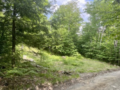Upper Wilson Pond - Piscataquis County Lot For Sale in Greenville Maine