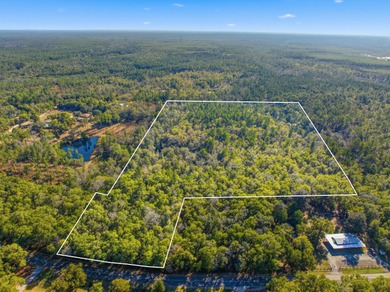 (private lake, pond, coastal) Acreage For Sale in Ponce De Leon Florida