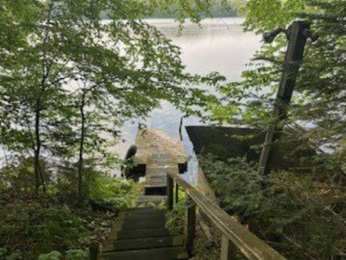 Lake Lot Sale Pending in Hayward, Wisconsin