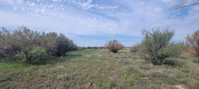 (private lake, pond, creek) Acreage For Sale in Las Animas Colorado