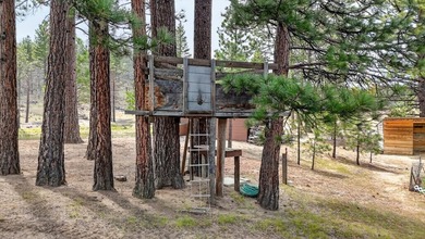 Located in Susanville, this 3-bedroom, 2-bath home offers 2,088 - photo 33