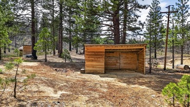 Located in Susanville, this 3-bedroom, 2-bath home offers 2,088 - photo 34