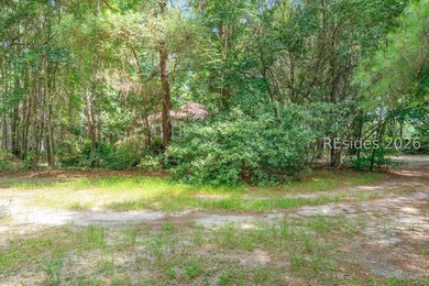 628 Robert Smalls Parkway offers a versatile residential - photo 37