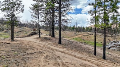 Located in Susanville, this 3-bedroom, 2-bath home offers 2,088 - photo 40