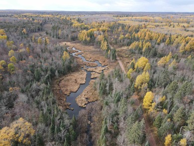 Lake Acreage For Sale in Marenisco, Michigan