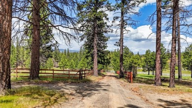 Located in Susanville, this 3-bedroom, 2-bath home offers 2,088 - photo 42