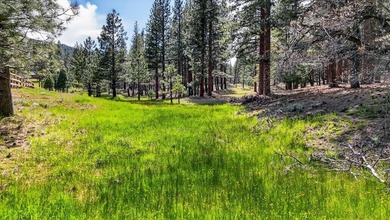 Located in Susanville, this 3-bedroom, 2-bath home offers 2,088 - photo 45