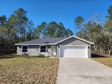 Lake Home For Sale in Dunnellon, Florida