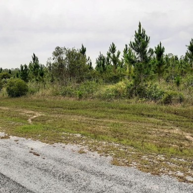 Lake Lot For Sale in Indian Lake Estates, Florida